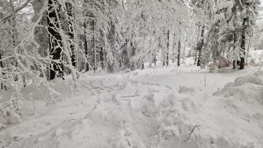 wyróżnienie kaja iwanowska kl.vb